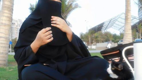 娱乐君吃瓜七七,揭秘娱乐圈背后的那些事儿